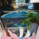 후루룩냠냠 이미지