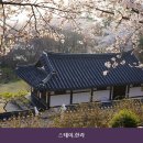 황토온돌방민박 | 태평동민박 스테이.한라 시설 깔끔 이라 이용하기 좋은 곳의 매장 위치와 주차