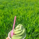 양현농장 이미지