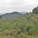 밤재농장 이미지