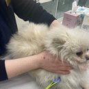 메이 동물병원 이미지