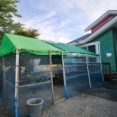 파인앤애플 펜션 이미지