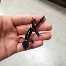 더베스트샵 이미지