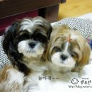 놀아줘 - 영등포구 선유동1로 6-7 | 놀아줘