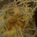 포시즌샤브
