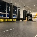 액티브 복싱클럽 이미지