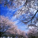 수안보로 이미지