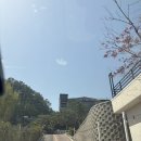 포천 팜브릿지 : 식물원 속에서 브런치와 커피 한 잔의 여유 |내돈내산 후기