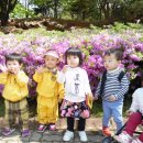 동동공원 이미지