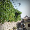 코리아탕 이미지