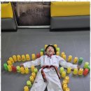 충주태권도 이미지