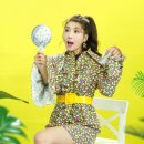 두리비디오 이미지