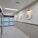 나무동물병원 이미지