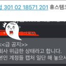 시더스롱제비티 이미지
