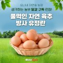 프리미엄농장 이미지