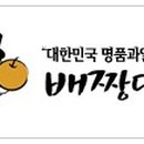 배짱이닷컴