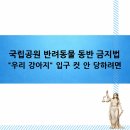우호목장 | 국립공원 반려동물 동반 금지법 "우리 강아지" 입구 컷 안 당하려면