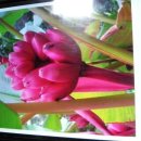 청은농장 이미지