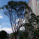 합성동111 이미지