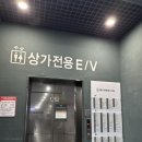 예쁜머리 | [미용실] 강동 상일동 미용실 추천 예쁜머리의정석 클리닉 후기!
