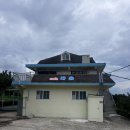 다솜애견 | 울산 애견동반카페 다솜 베이커리 카페 내돈내산
