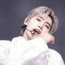 하루와이틀 이미지
