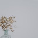 스타일담아 이미지