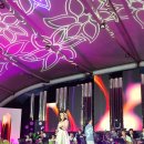 한여름 밤 낭만콘서트 이미지