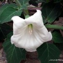 일상(日常) 그 그 이미지