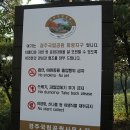 동대부속유치원 이미지