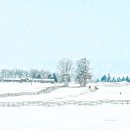 진리의 비상 이미지