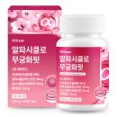 무궁화 | 요즘 핫한 겨울 다이어트템 ‘알파시클로 무궁화핏’ 솔직 후기