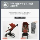 아이네스트