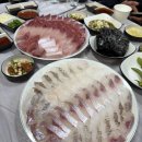 대구 월배시장 해돋이회타운 - 동네주민만 아는 가성비 회 맛집