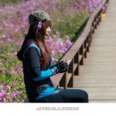 화원목장 이미지