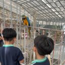 시우글로벌 이미지