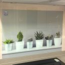 오늘의 선물 | 오늘의집 코나 주방아트보드 후기 | 주방 인테리어 집들이 선물 추천