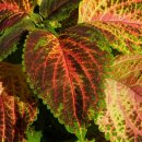 양천한의원 이미지