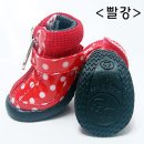 도기스쿨 이미지