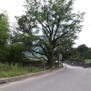 백운리 백운경로당 이미지