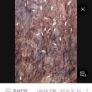 자명농장 이미지