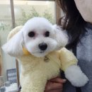 스파 앤 컷 이미지