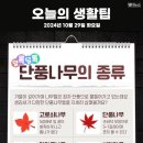 2024년 10월 29일 화요일, HeadlineNews 이미지