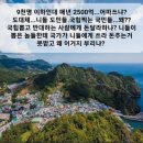 울릉드림
