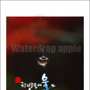 사진놀이
