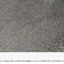 (유)전일환경