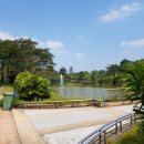 양일고등학교 이미지