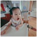 엄마이유식 | [로하스밀 ①] 10개월 아기 후기 이유식｜엄마표 이유식과 로하스밀 병행 시작