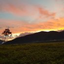 용궁산장 이미지