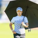 포토그린 이미지